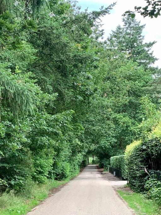 Op Boszicht Genieten Van De Rust & Natuur Putten Esterno foto