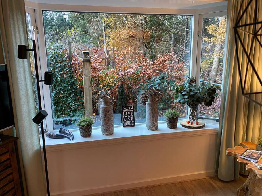 Op Boszicht Genieten Van De Rust & Natuur Putten Esterno foto