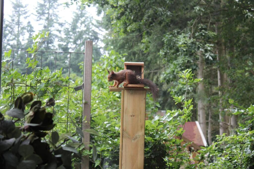 Op Boszicht Genieten Van De Rust & Natuur Putten Esterno foto