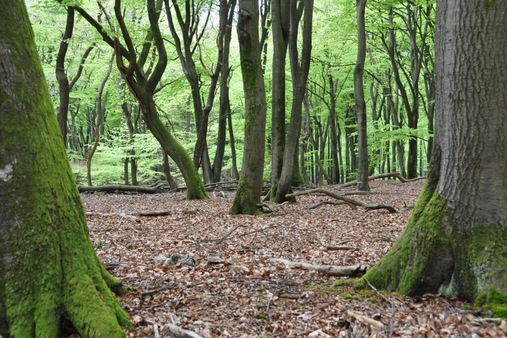 Op Boszicht Genieten Van De Rust & Natuur Putten Esterno foto